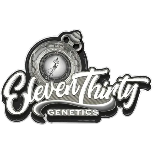 Eleven Thirty Genetics - Discount Cannabis Seeds