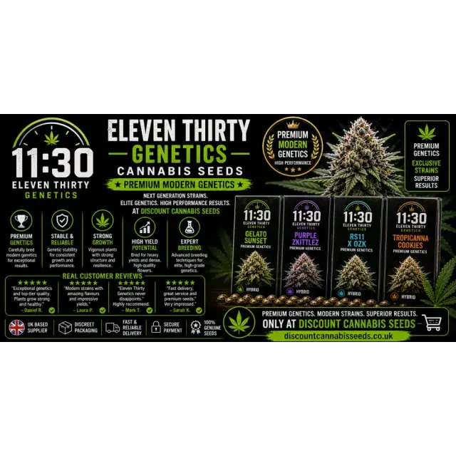 Eleven Thirty Genetics Cannabis Seeds (Premium Modern Genetics Review)