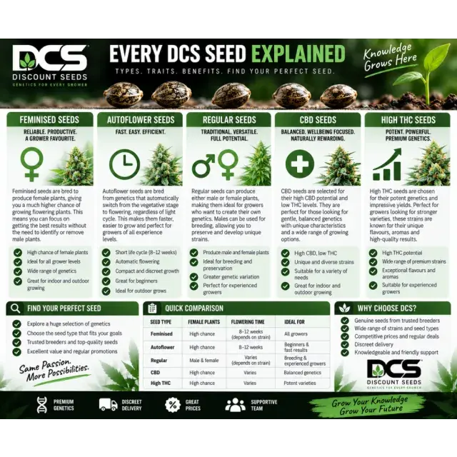 Cannabis Seeds: Every DCS Cannabis Seeds Explained.