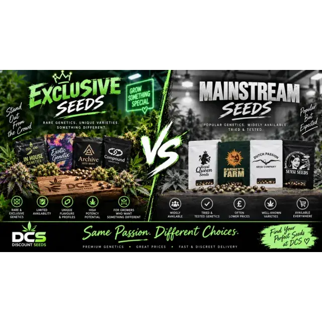 Cannabis Seeds: Exclusive Cannabis Seeds vs Mainstream Seeds.
