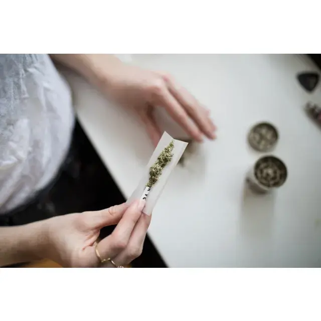 Unlocking the Value: 100 Bulk Cannabis Seeds for £100.