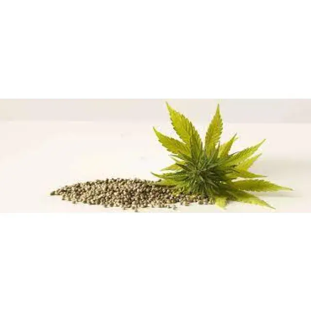 Discover the Best Deals on Discount Cannabis Seeds at Our Online Store.