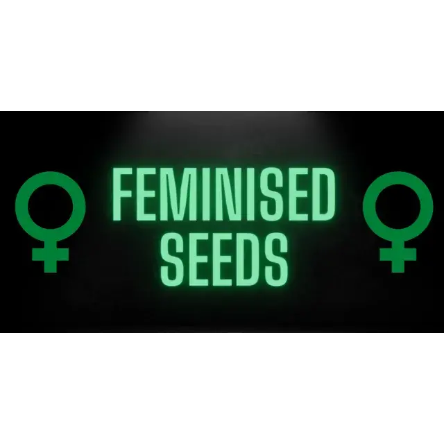 Power of Feminised Cannabis Seeds at Discount Cannabis Seeds.