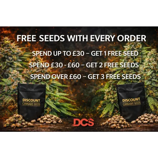 Best Value Cannabis Seeds UK (High Yield, Low Cost 2026 Guide).