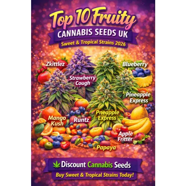 Top 10 Fruity Cannabis Seeds UK (Sweet & Tropical Strains 2026).