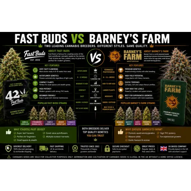 Cannabis Seeds: Fast Buds vs Barney’s Farm Cannabis Bank.