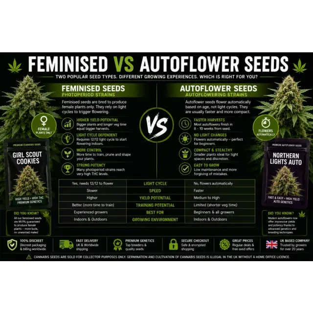 Cannabis Seeds: Feminised vs Auto flower Cannabis Seeds.