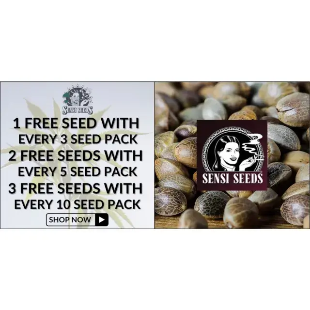 March Promotions on Sensi Seeds at Discount Cannabis Seeds.