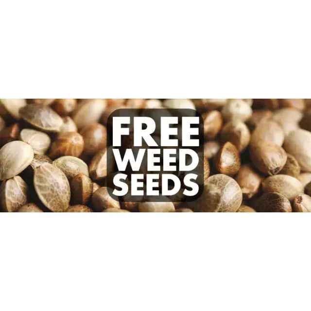 Transform Your Grow: Discover Unmatched Cannabis Seeds Genetics and Free Seeds.