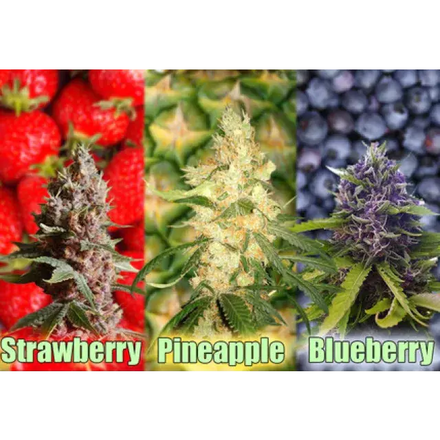 A - Z of Fruity Cannabis Seeds | Discount Cannabis Seeds