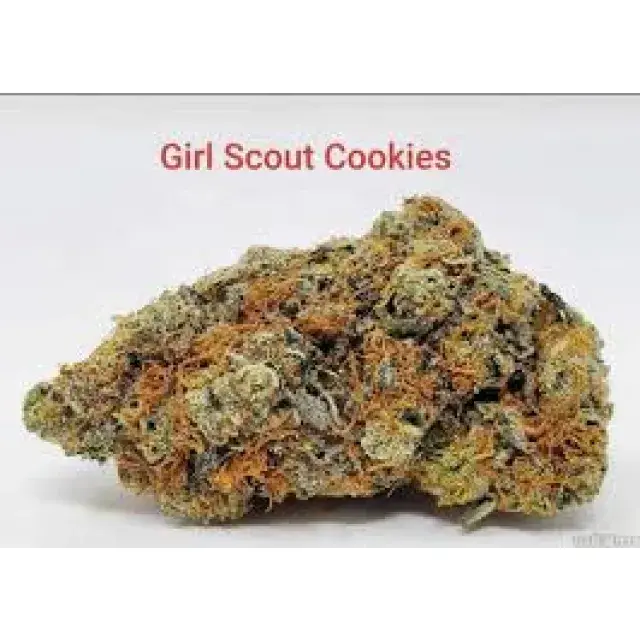 Best Girl Scout Cookies Cannabis Seeds Strains at Discount Cannabis Seeds