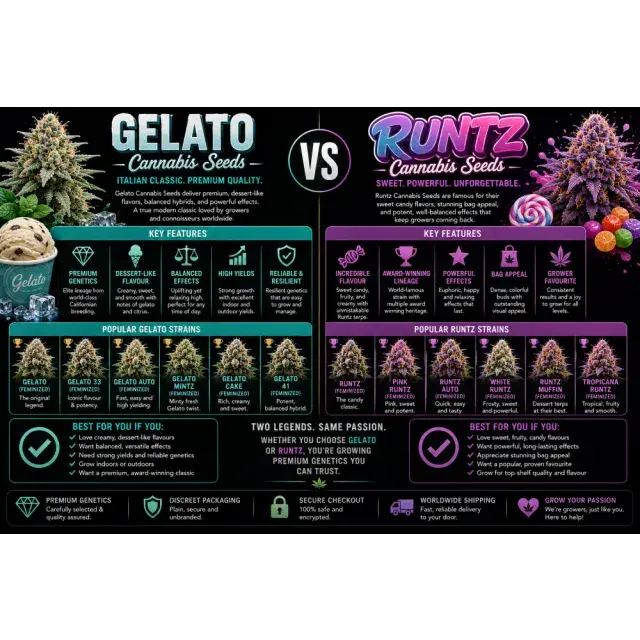 Cannabis Seeds: Gelato Cannabis Seeds vs Runtz Cannabis Seeds.