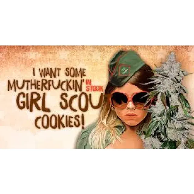 Discover the Magic of Girl Scout Cookies Cannabis Seeds