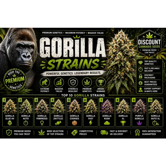 Gorilla Cannabis Seeds UK (Gorilla Glue Strain Guide 2026)