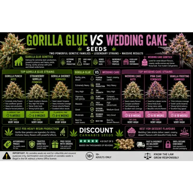 Cannabis Seeds: Gorilla Glue vs Wedding Cake Seeds.