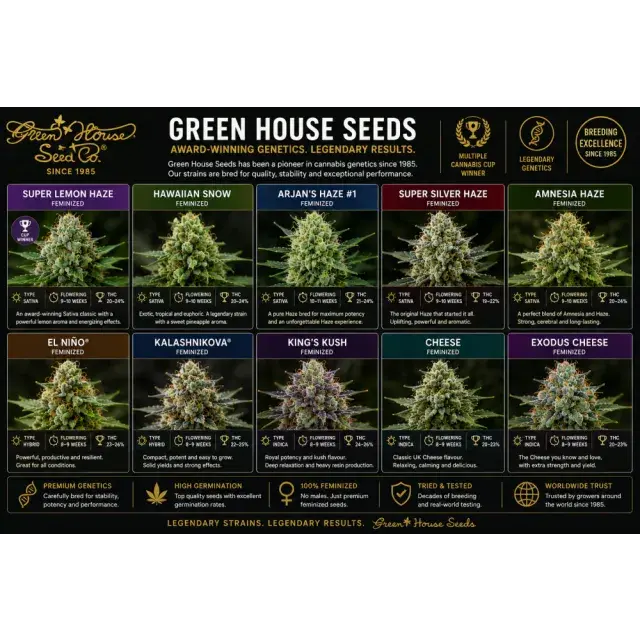 Cannabis Seeds: Green House Seeds Strains: Top Cannabis Genetics.