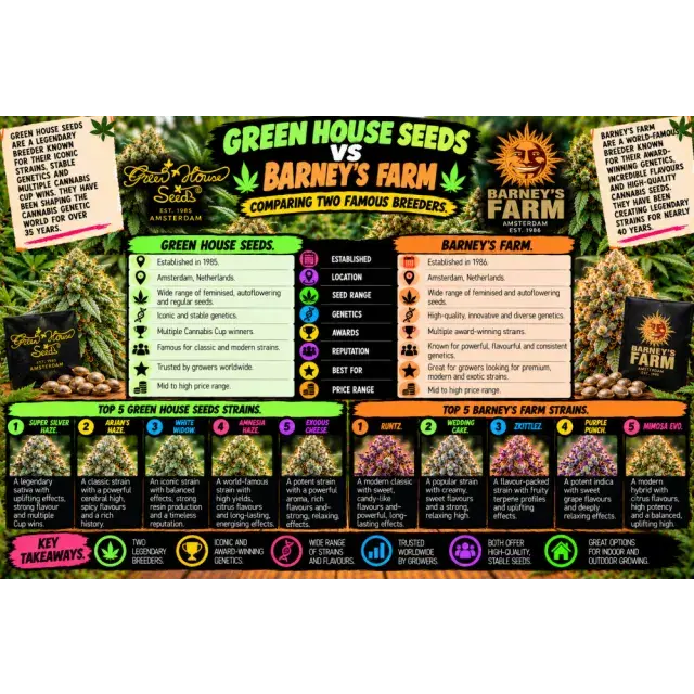 Cannabis Seeds: Green House Seeds vs Barney's Farm: Comparing Two Famous Breeders.