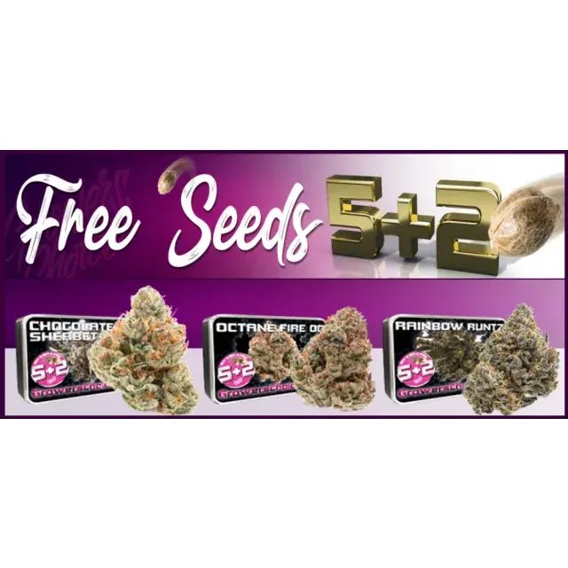 Growers Choice New Strains - Discount Cannabis Seeds
