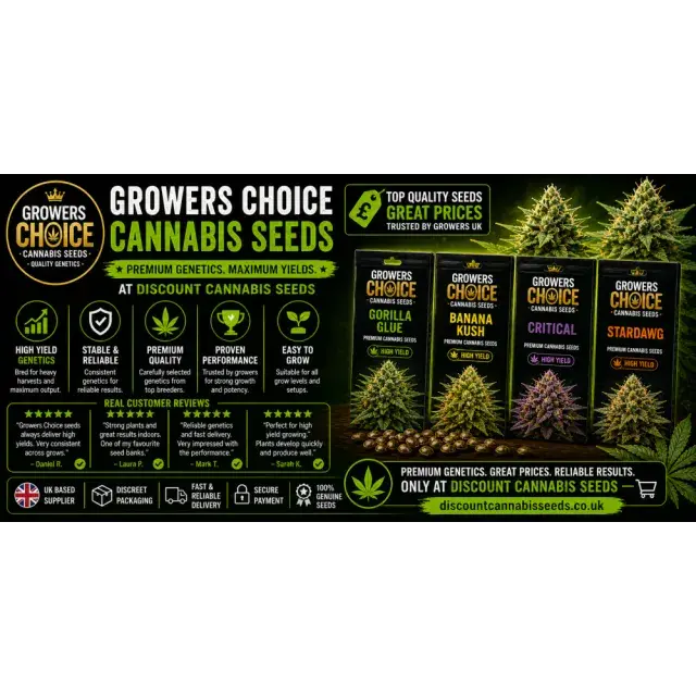 Growers Choice Cannabis Seeds UK (Best High Yield Genetics Review 2026).