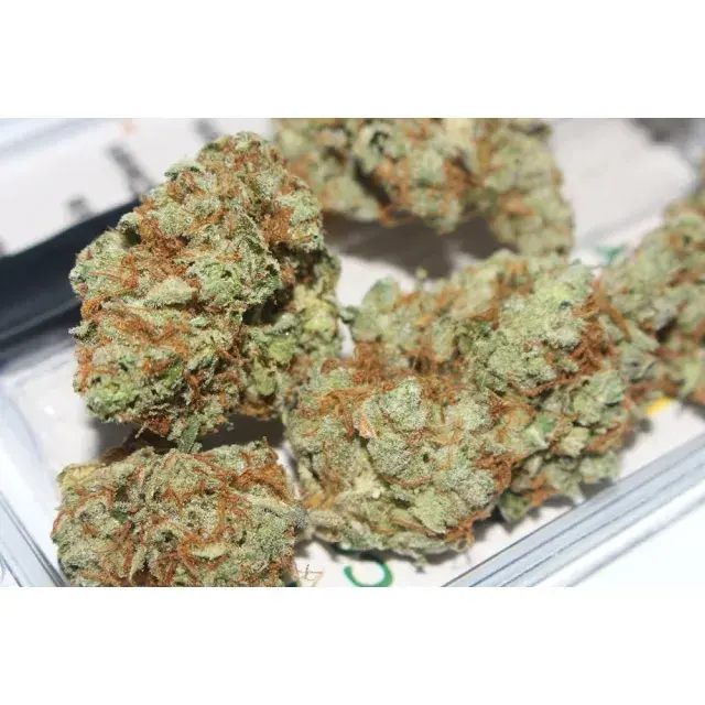 Growing Gorilla Glue Cannabis Seeds: Essential Tips and Tricks.