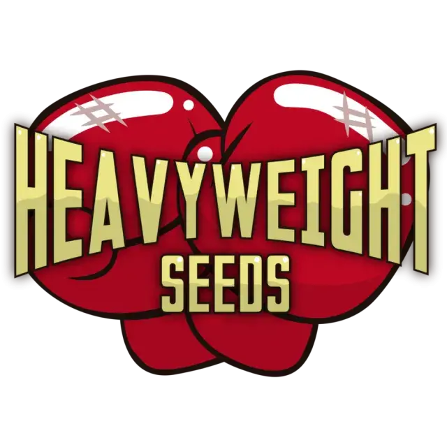 Heavyweight Seeds - Discount Cannabis Seeds