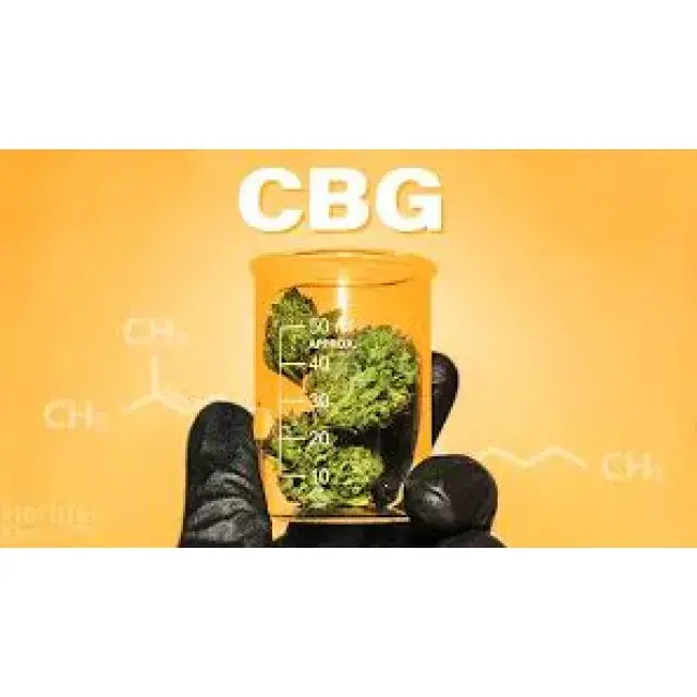 High CBG Cannabis Seeds: The Complete Guide for 2025.