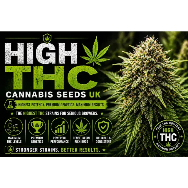 Highest THC Cannabis Seeds UK (Most Potent Strains Guide 2026).