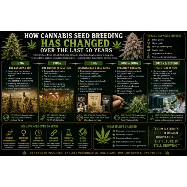 Cannabis Seeds: How Breeding Has Changed Over the Last 50 Years.
