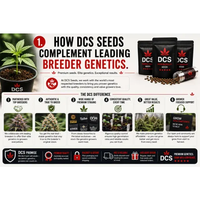 Cannabis Seeds: How DCS Seeds Complement Leading Breeder Genetics.