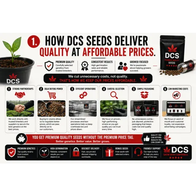 Cannabis Seeds: How DCS Seeds Deliver Quality at Affordable Prices