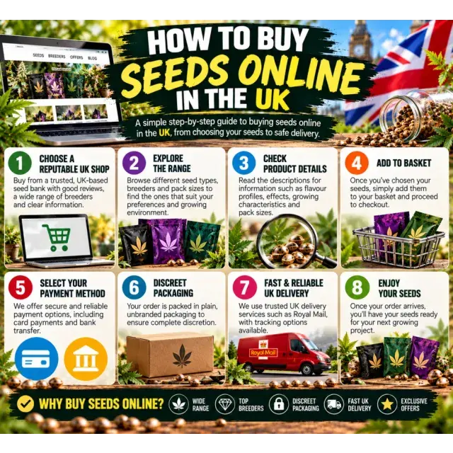 Cannabis Seeds: How to Buy Cannabis Seeds Online in the UK.
