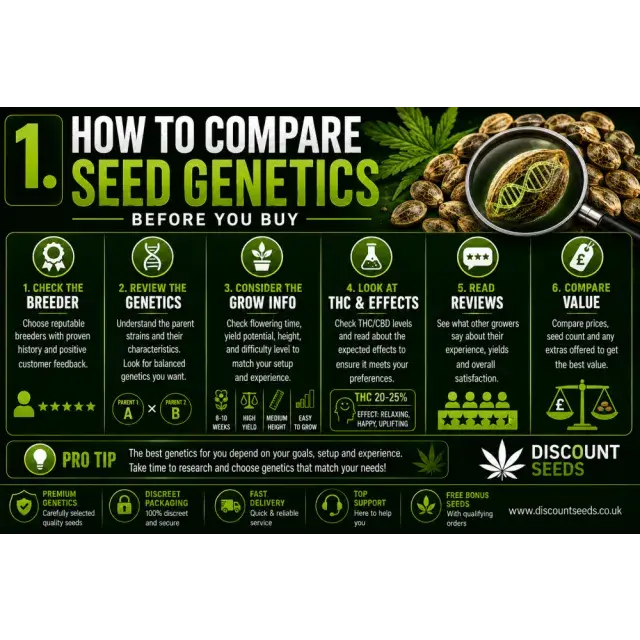 Cannabis Seeds: How to Compare Cannabis Seed Genetics Before You Buy