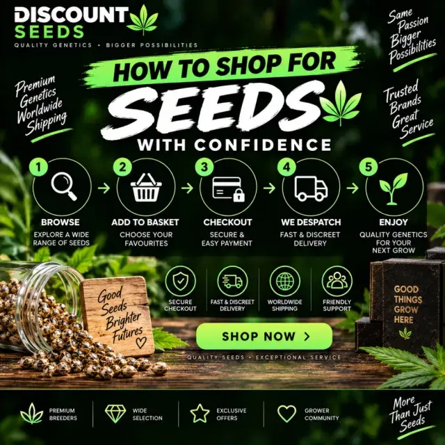 Cannabis Seeds: How to Shop for Cannabis Seeds with Confidence.