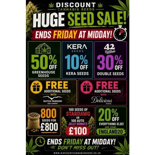 June Cannabis Seed Sale at Discount Cannabis Seeds – Huge Savings on Top Cannabis Seeds.