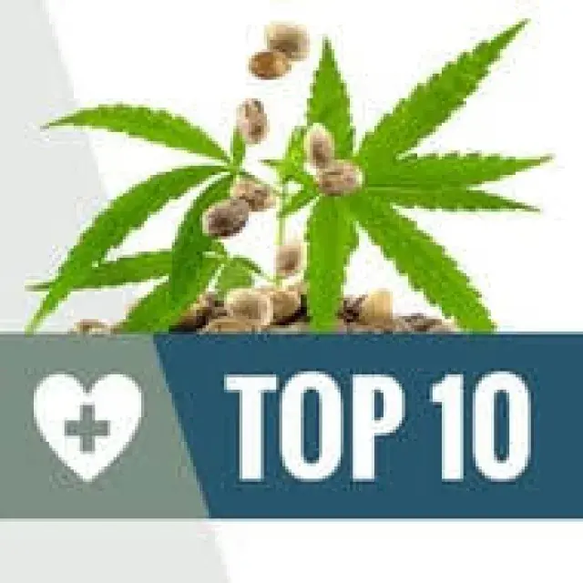 Cannabis Seeds The Laughing Strains - Discount Cannabis Seeds.