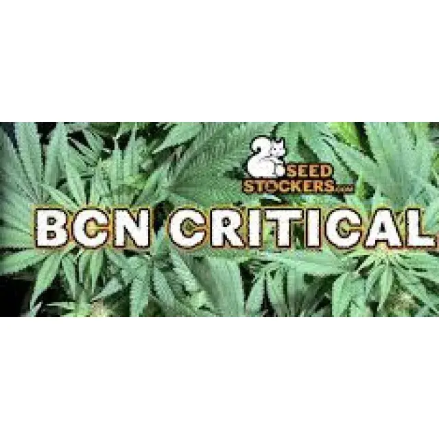 Cannabis Seeds The BCN Strains - Discount Cannabis Seeds.