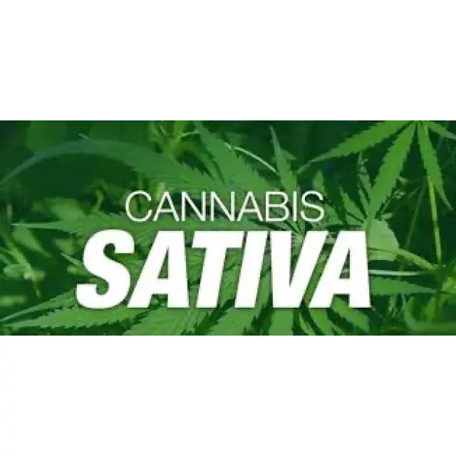 Cannabis Seeds The Sativa Strains - Discount Cannabis Seeds.