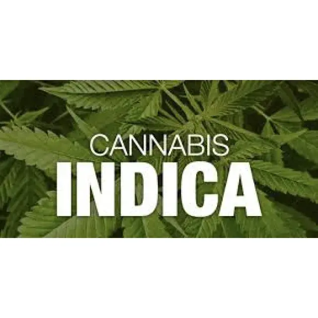 Cannabis Seeds The Best Indica's - Discount Cannabis Seeds.