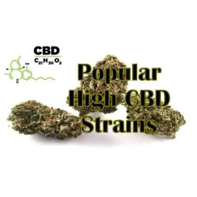Cannabis Seeds High CBD Strains - Discount Cannabis Seeds.