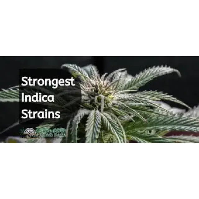 Cannabis Seeds Our Top Indica Weed Seeds - Discount Cannabis Seeds.