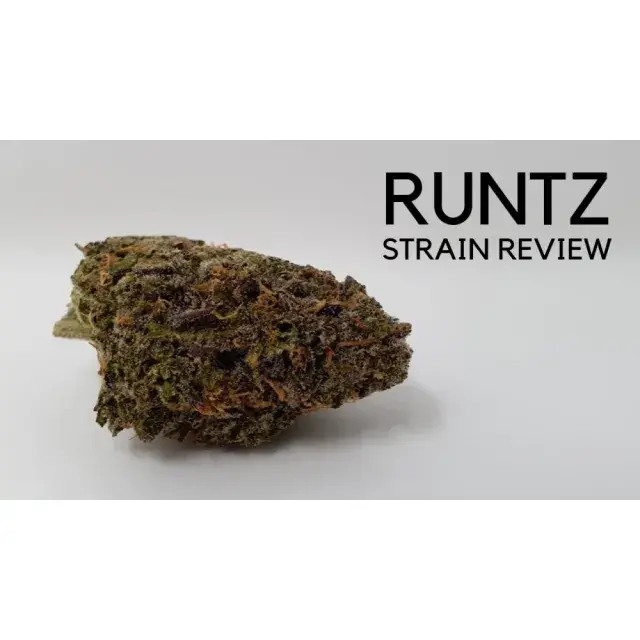 Cannabis Seeds - Runtz Weed Seeds Strain - Discount Cannabis Seeds.