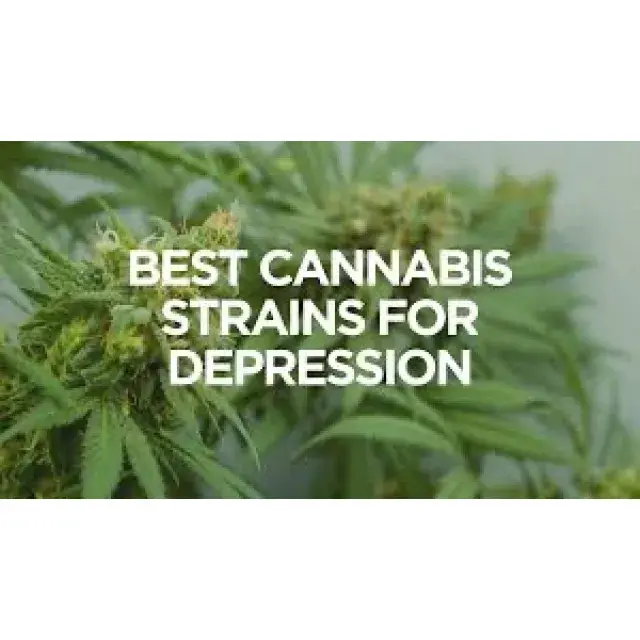 Cannabis Seeds - Weed Seeds To Cheer You Up - Discount Cannabis Seeds.