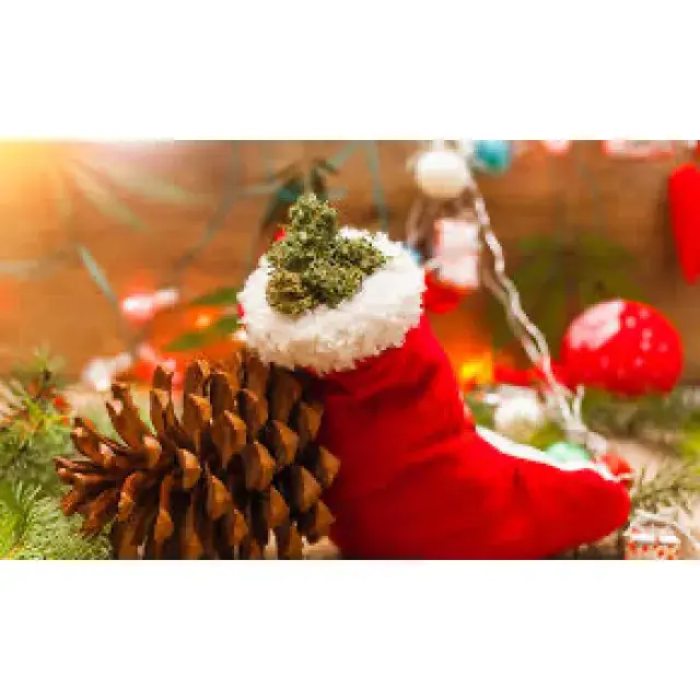 Cannabis Seeds - Humboldt Strains Christmas - Discount Cannabis Seeds.