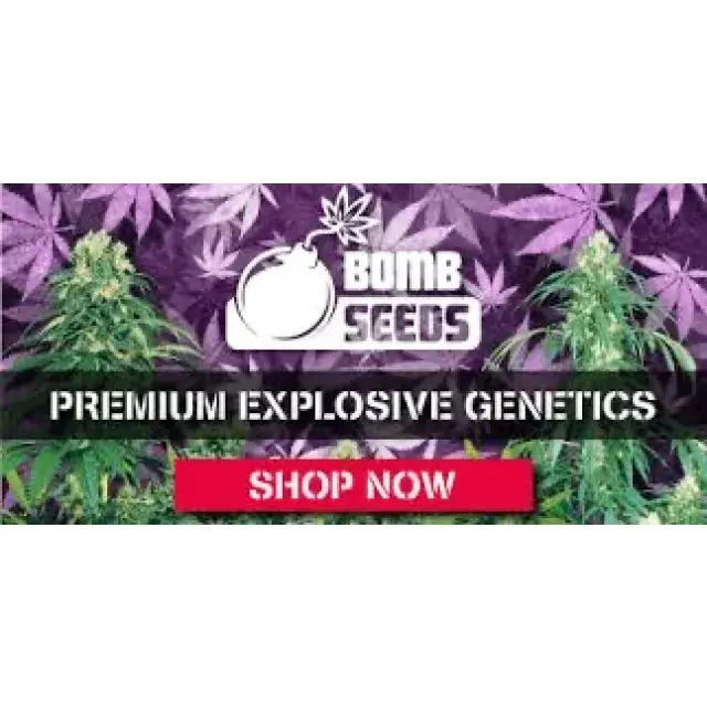 Cannabis Seeds - The Bomb Seeds - Discount Cannabis Seeds.