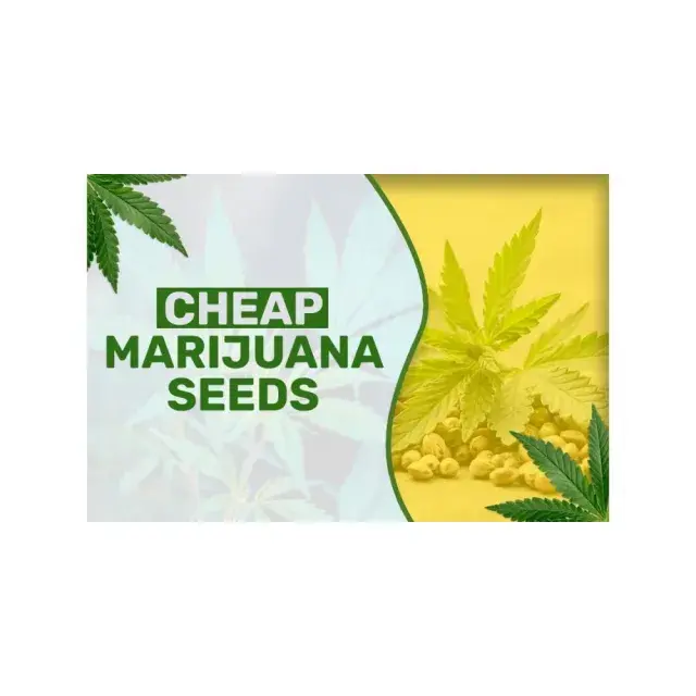 Cannabis Seeds - Cheap Auto Strains - Discount Cannabis Seeds.