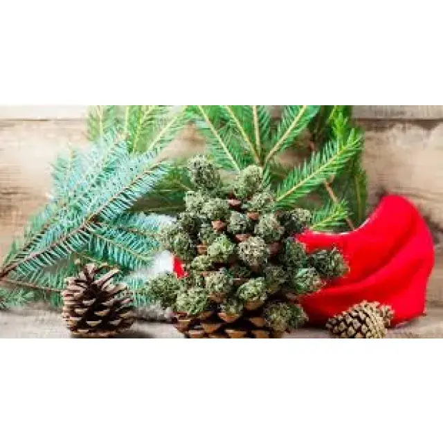 Cannabis Seeds - Strains For The Holiday Season - Discount Cannabis Seeds.