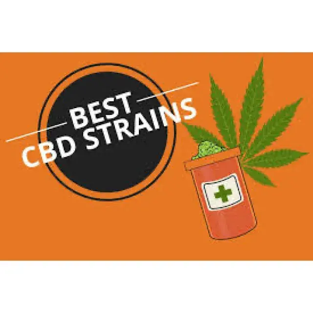 Cannabis Seeds - CBD Indoor Strains - Discount Cannabis Seeds.