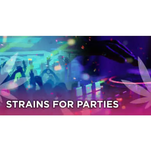 Cannabis Seeds - The Best Party Strains - Discount Cannabis Seeds.
