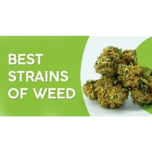 Cannabis Seeds The Strongest Hybrid Strains - Discount Cannabis Seeds.