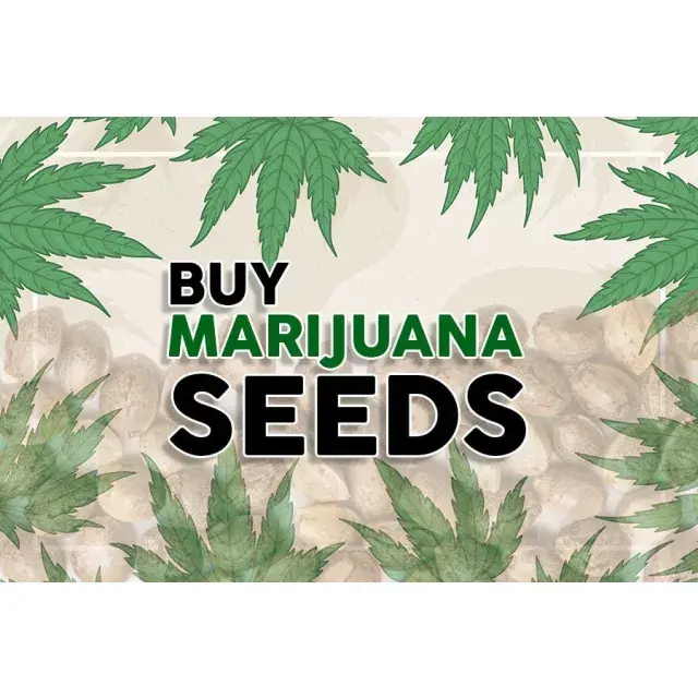 Cannabis Seeds: Tips For Purchasing Cannabis Seeds.